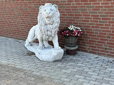Löwe